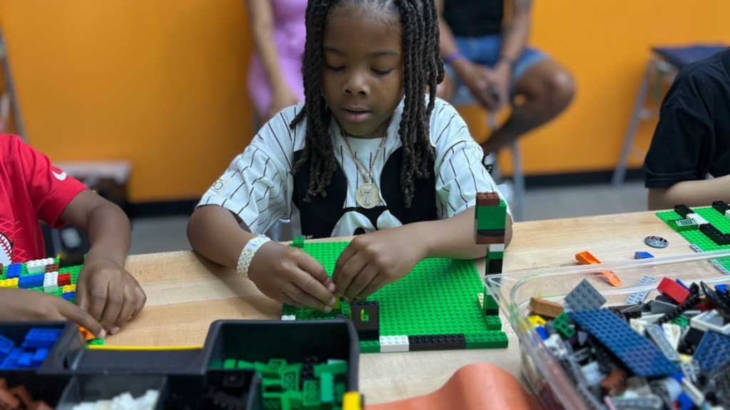 LEGO Bricks